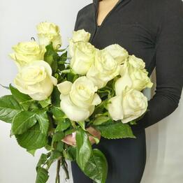 Rose lux