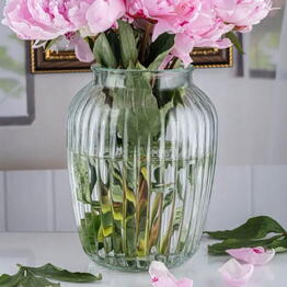 Royal Rose
