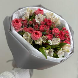 PION-BUTON