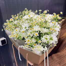 Министерство Цв🌸тов Киевская