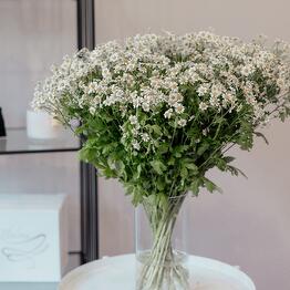 Bouquet Katherine is the best bouquets with delivery in Riga and