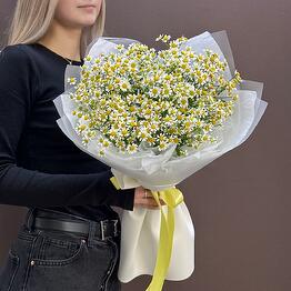 Ромашки на День рождения