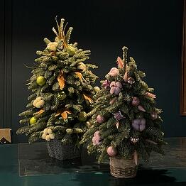 FLORCAT