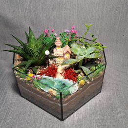 FlorariumSi