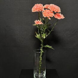 Floristicheskaya masterskaya "family"