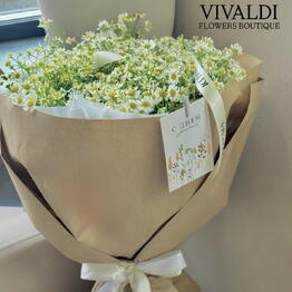 VIVALDI flowers boutique