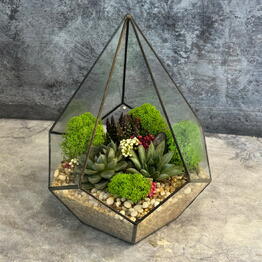 Marina_florarium