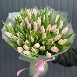 Spring_sun_flowers