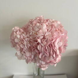 TIFFANY FLOWERS