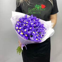 Lomonosov Flowers Москва
