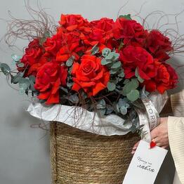 Florissimo