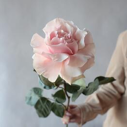 French Lace Inverted Rose pink mondial FMART by flowwow