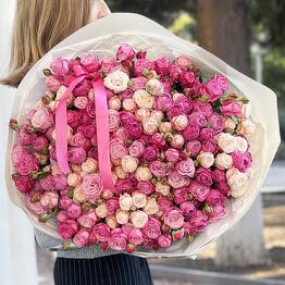 Tulip ტიტა