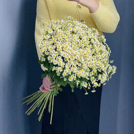 Mood flowers