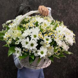 Friendly flowers 