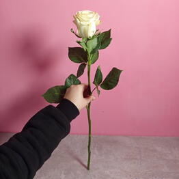 VikiFlowers