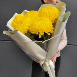 Florideya 