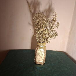 Velesova Lunnica 
