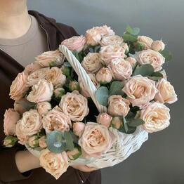 Vivat Flowers