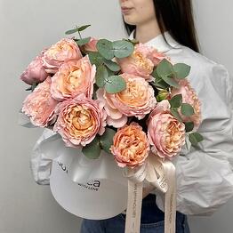 Botanica with love ул.Дмитриевского