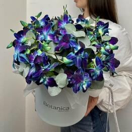 Botanica with love