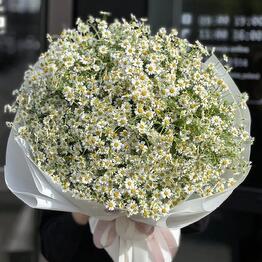 Hey, Flower!