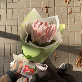 XOFLOWERS