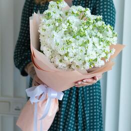 FlowersAmely|FlowersAmely