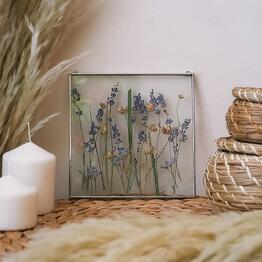 Forget me not