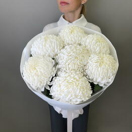 Capital Flowers