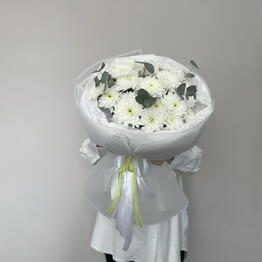 Wow flowers