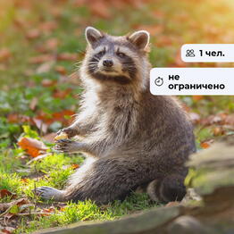 bonodono Krasnoyarsk