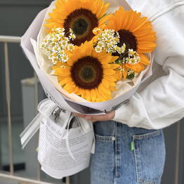 Fresh Story