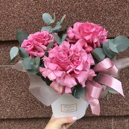 La Buket Fusion