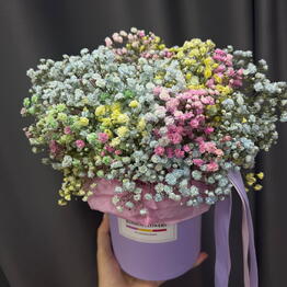 Bambini Flowers