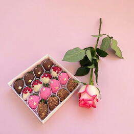 CHOCOBERRY SHOP64