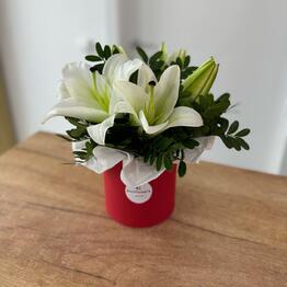 FimFlowers 