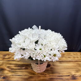 KingFlowers*CvetochniePolyani