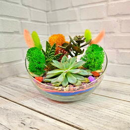 Studiya fitodizayna "Micro Garden"