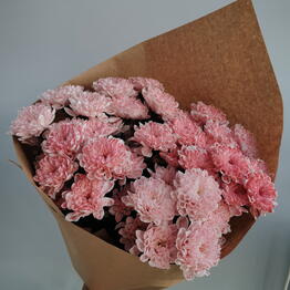 Amma Flowers