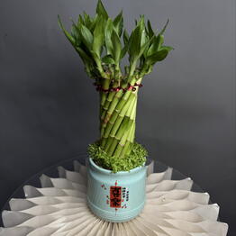 MisunFlora