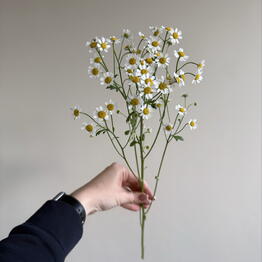 One flowers Сормовское шоссе