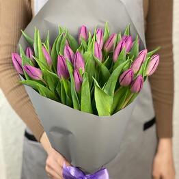 Tulipanes