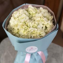 Pon Pon Flowers