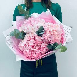 Pink fluffy hydrangeas with eucalyptus, 3 pieces