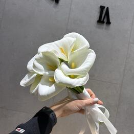  Флора Макс