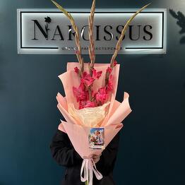 NARCISSUS