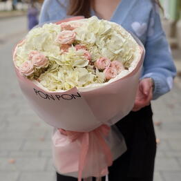 Pon Pon Flowers