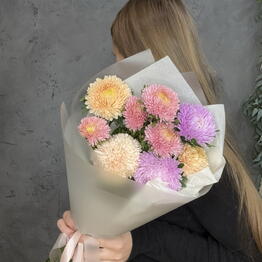 ПОЛЛЕ