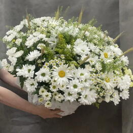 Flowers Blues